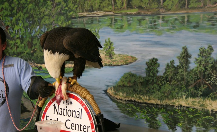 Shortly after Randy shot this photo of Angel eating a rat, I left the room.