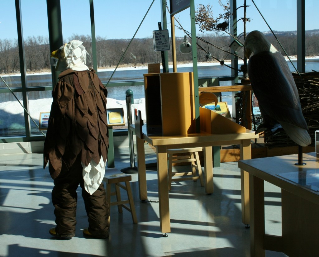 Dressed as an eagle, a staffer wanders through the eagle center.