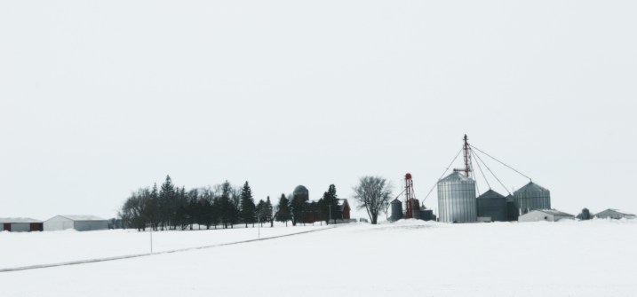 Along a gravel road somewhere between Nerstrand and Kenyon, Minnesota.