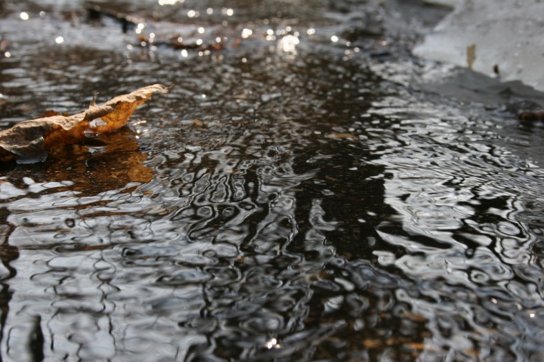 Water rushes down a trail.