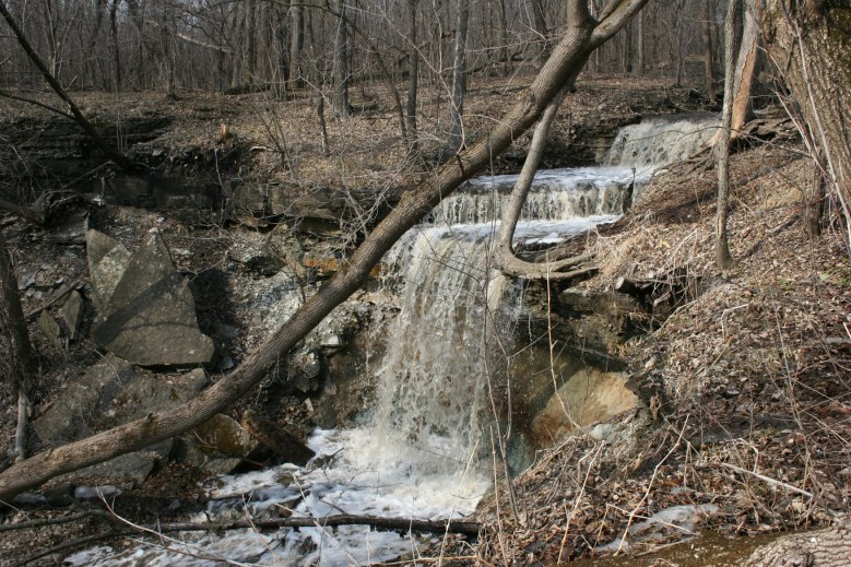I've never seen this much water roaring over the nature center waterfall.