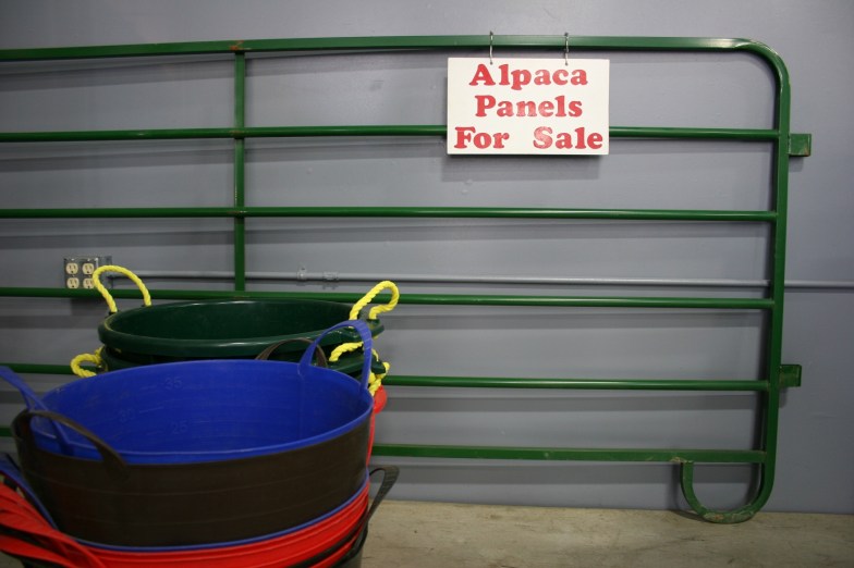 Vendors sold alpaca related and other products.