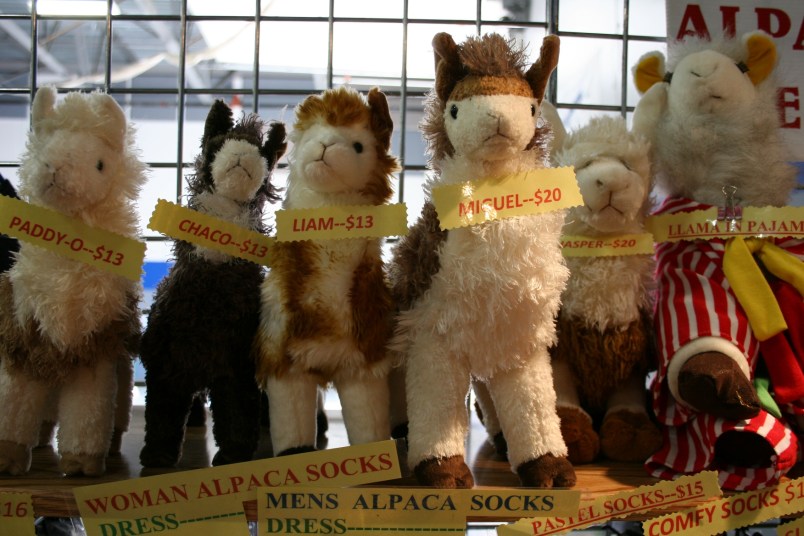 Cute alpaca toys.