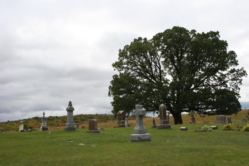 The particularly picturesque Valley Grove Church Cemetery near Nerstrand Big Woods State Park.