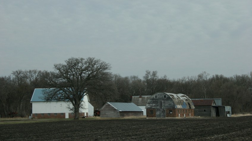Along Brown County Road 29 west of New Ulm, MN.