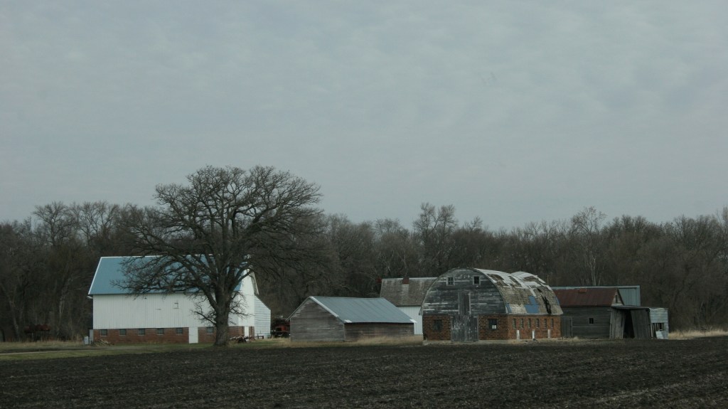 Along Brown County Road 29 west of New Ulm, MN.