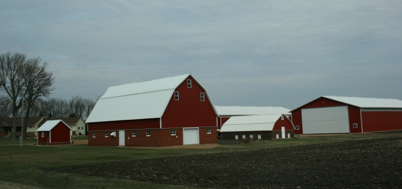 Along Brown County Road 29 between New Ulm and Morgan, Minnesota.