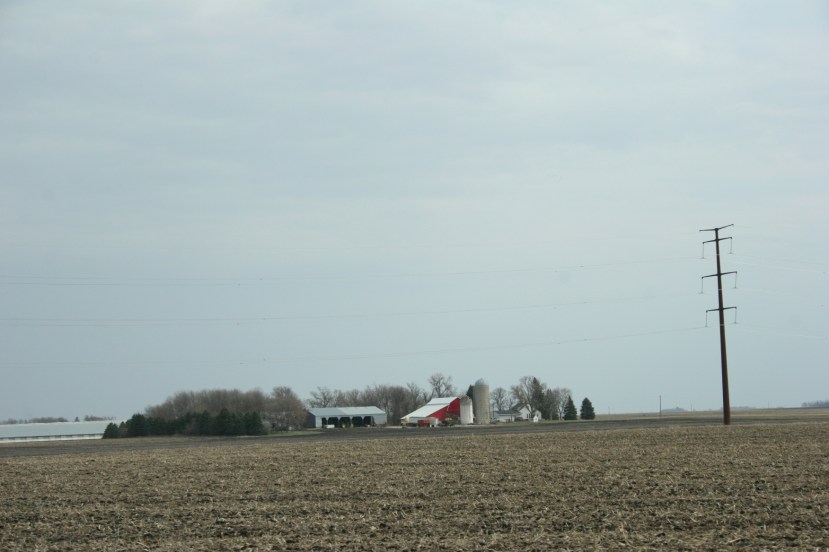 A farm site along Minnesota Highway 67 seems so small in comparison to the new transmission power poles.