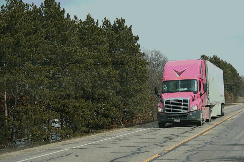 Photographed just east of Coloma.