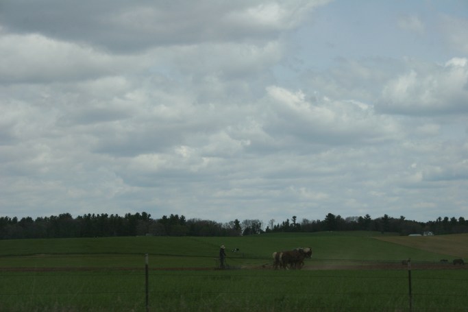 Doing field work the old fashioned way in Amish country near Coloma, Wisconsin.
