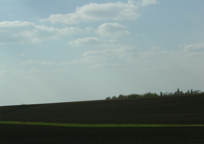 A field along Interstate 90 in southeastern Minnesota.