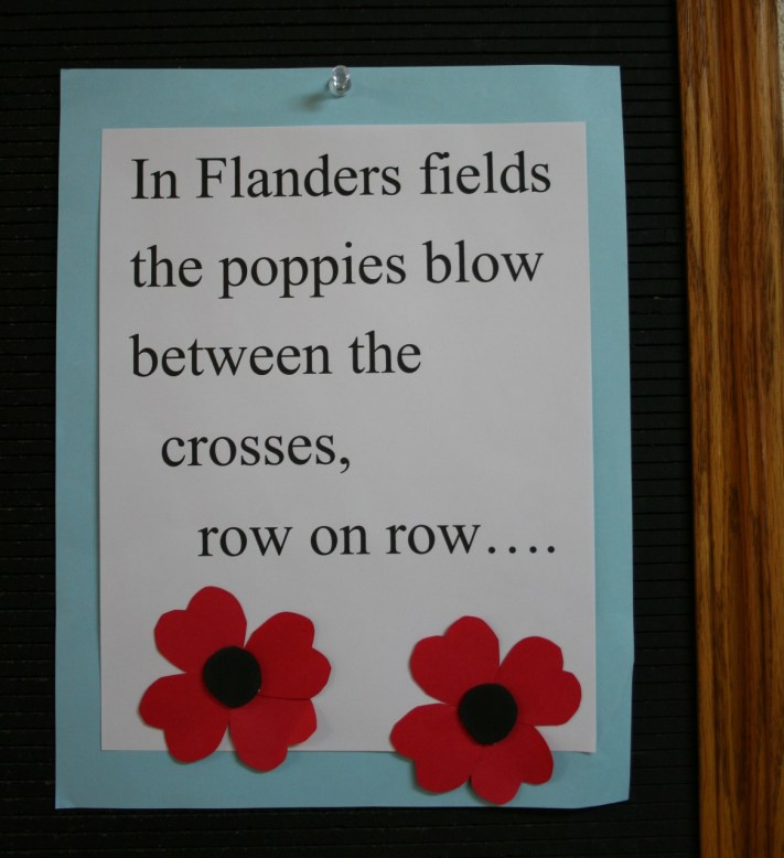 Poppies on bulletin board