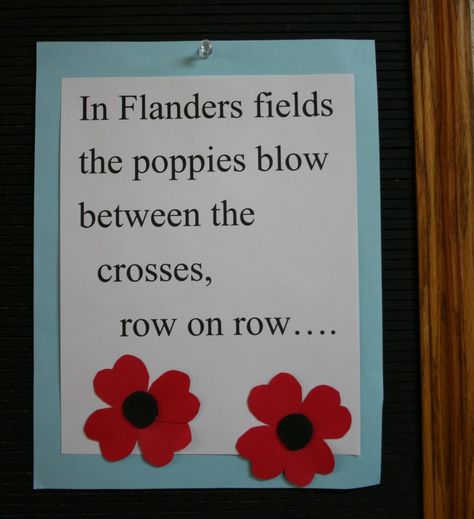 Poppies on bulletin board
