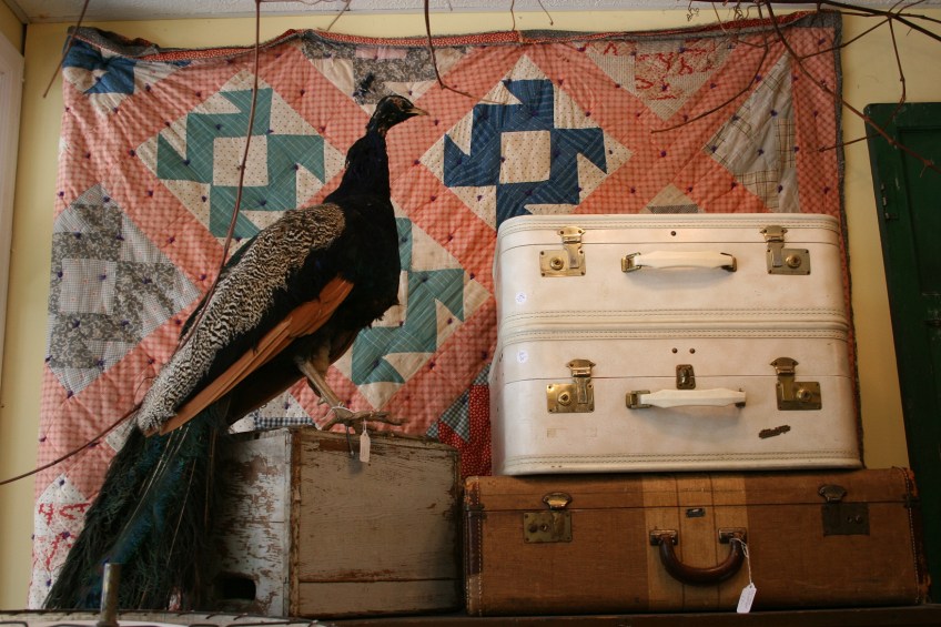 This setting seems the perfect prompt for a story.