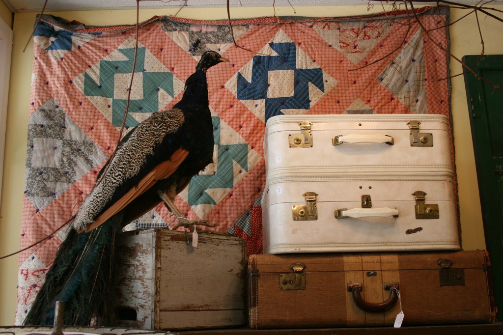 This setting seems the perfect prompt for a story.