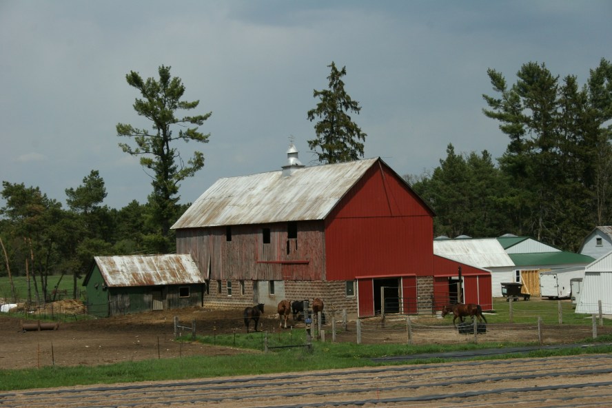 Barn in Wisconsin 109