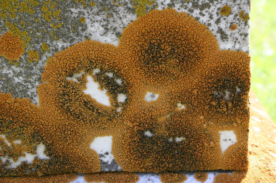 A close-up of a time-worn, weathered tombstone.
