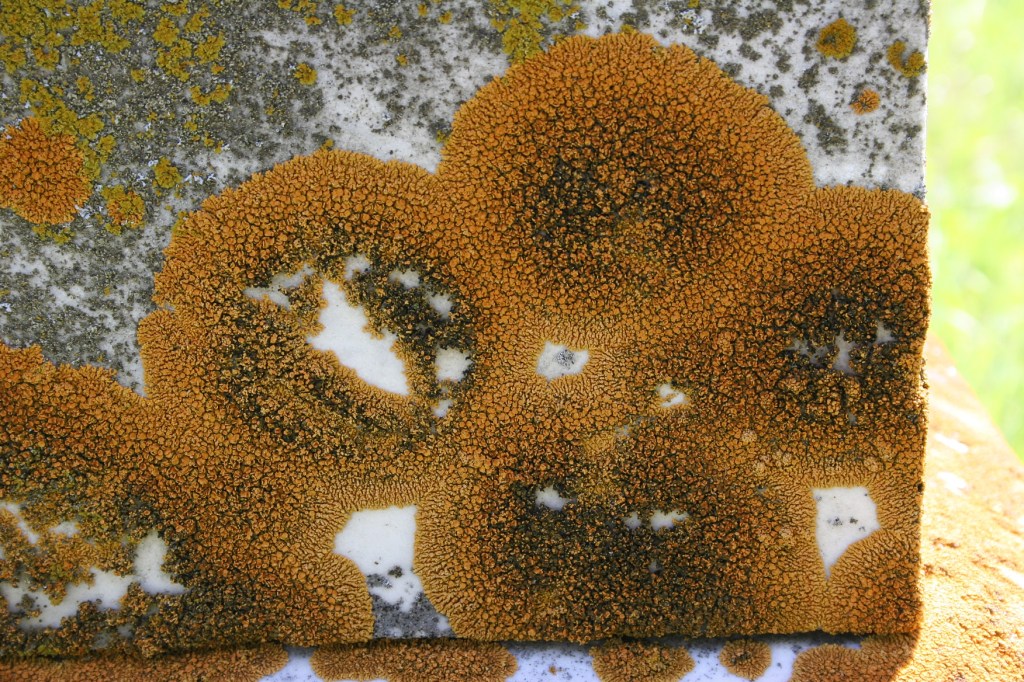 A close-up of a time-worn, weathered tombstone.