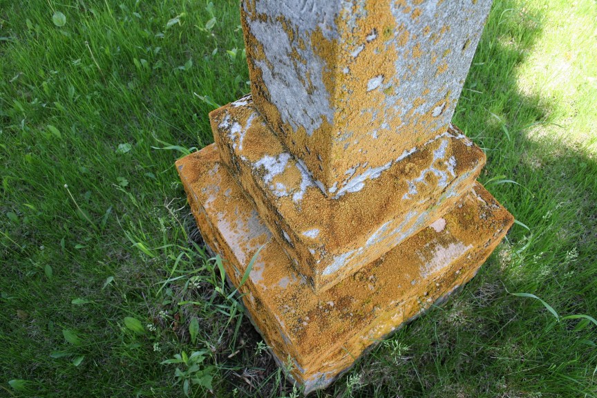 Weeds flourish among the weathered tombstones.