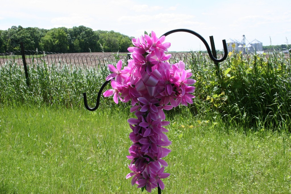 Someone still cares about a loved one buried here.