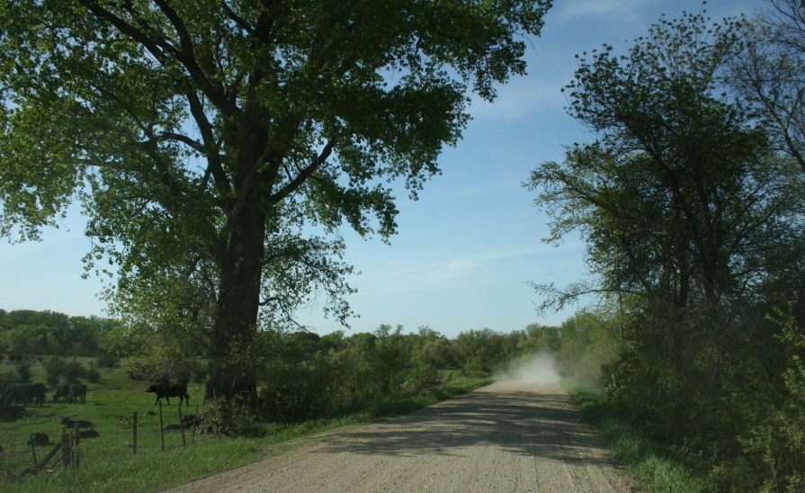 This is good pasture land.