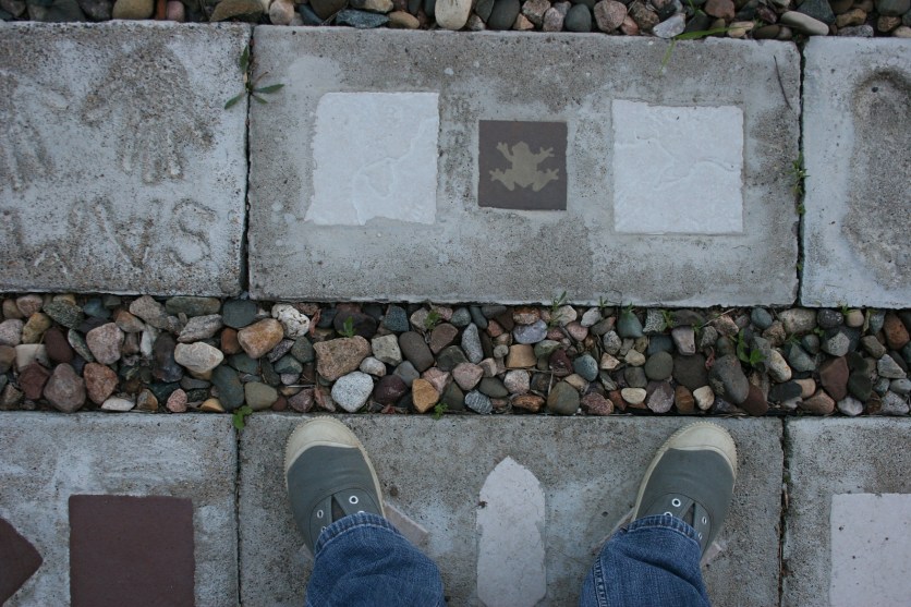 Walking portions of the labyrinth during a photo shoot.