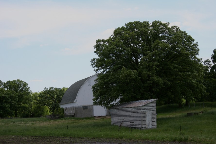 So many old barns and the sweet surprise of this old corn crib.