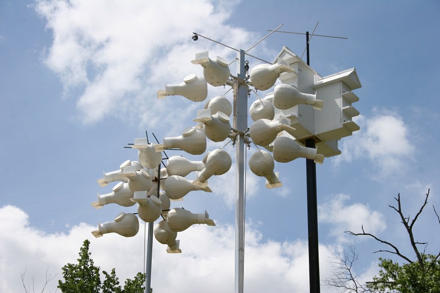 Birdhouse condominion perched atop a hill next to a building site in rural Rice County, Minnesota.