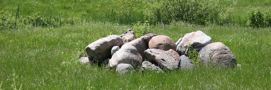 We even notice the rock piles and recall our days of picking rock.