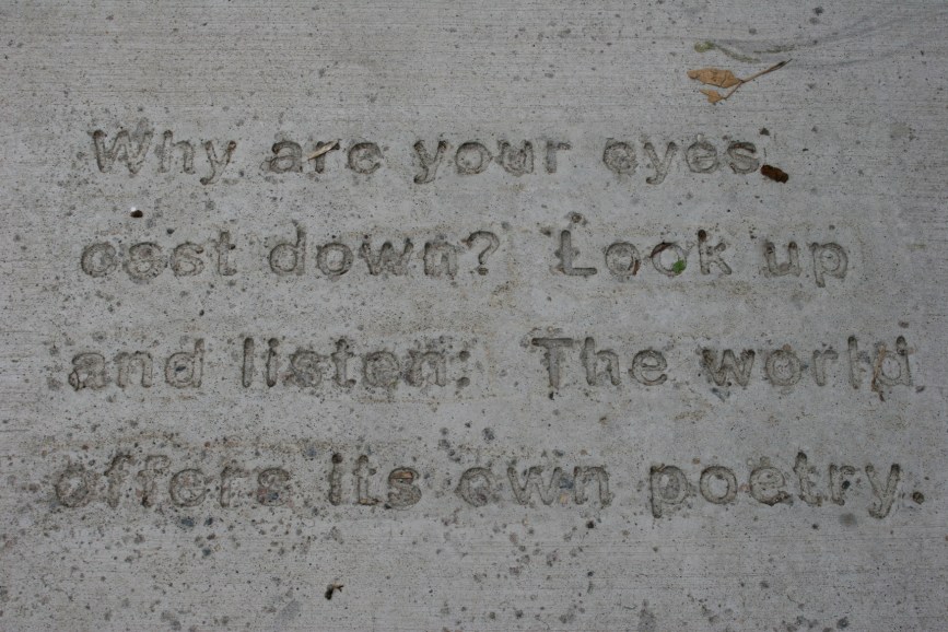 Don't miss the poetry imprinted upon sidewalks on Northfield's downtown. Word art.