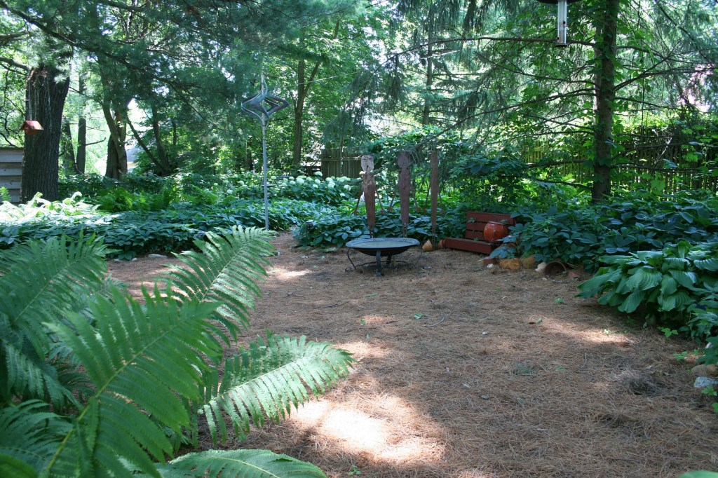 A portion of the shady back yard.