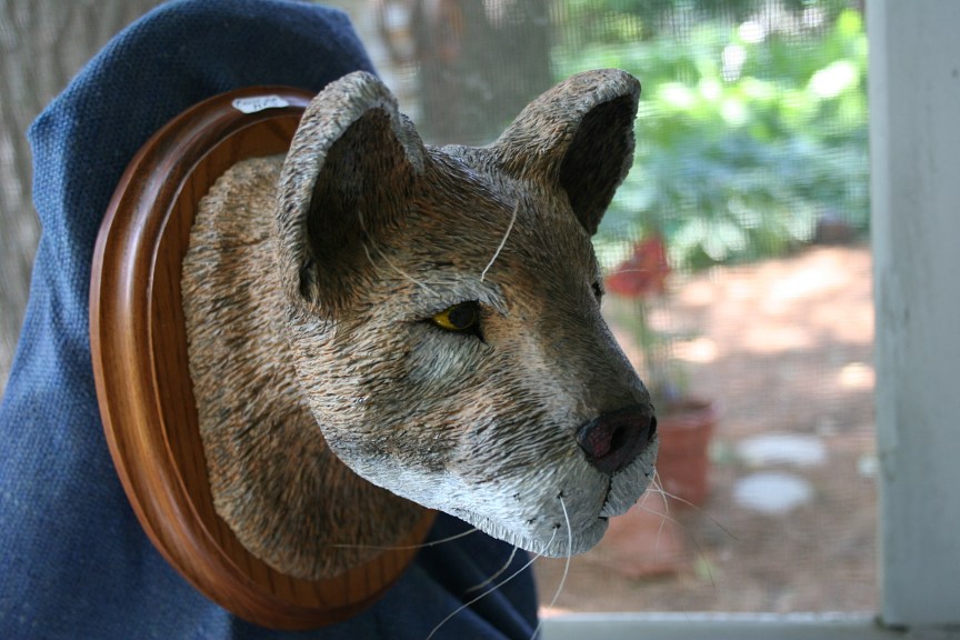 Dick Zawacki says this is one of his favorite carvings, so realistic it stopped a dog in its tracks.