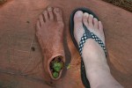 Cipra garden, feet
