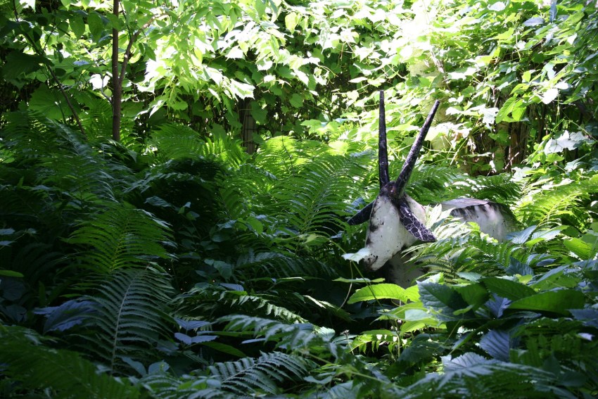 Yes, that's a goat hiding in the greenery.