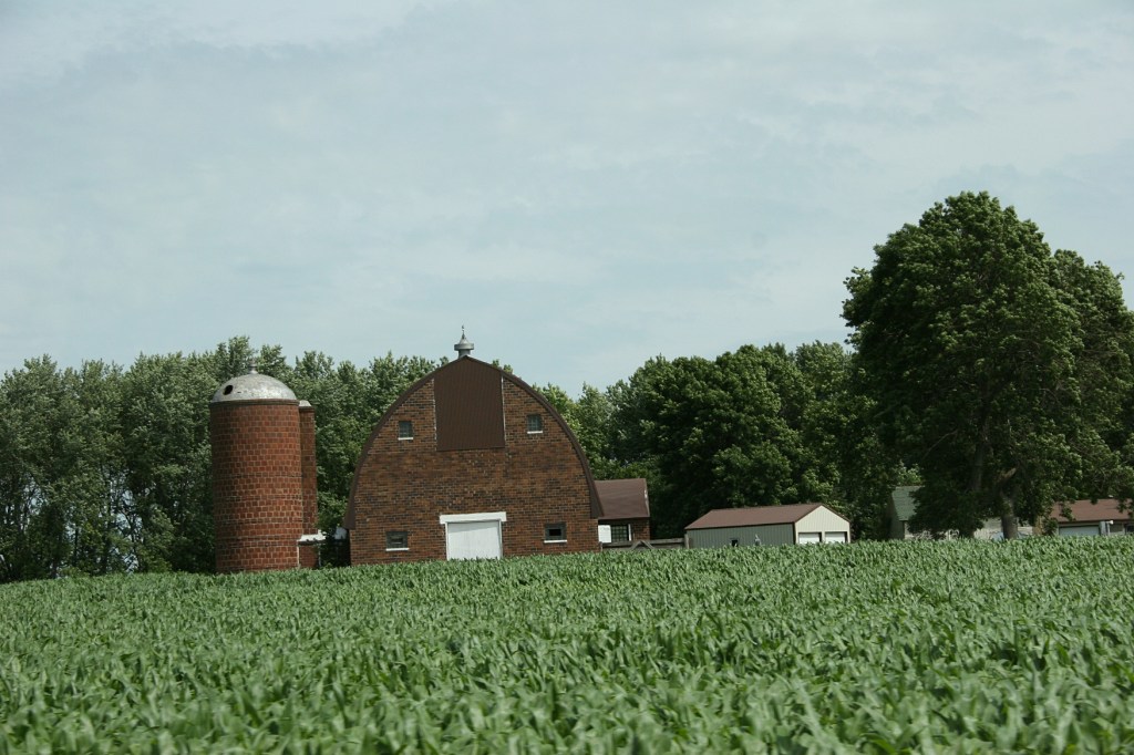 Corn grows in a field next to one of my favorite barns along U.S. Highway 14 in southwestern Minnesota.