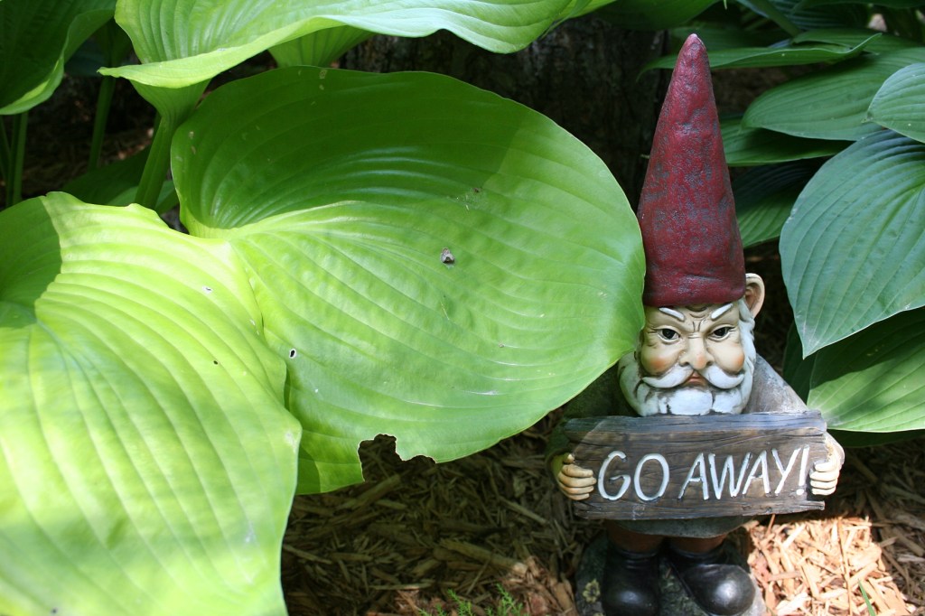Garden gnome humor.