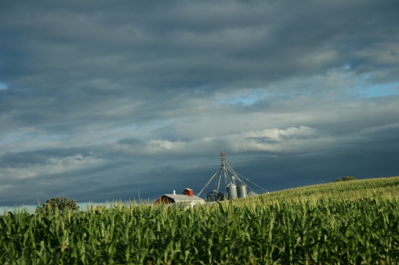 Barn and bins behind a corn field near Waterville.