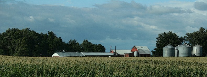 A farm site between Morgan and New Ulm.