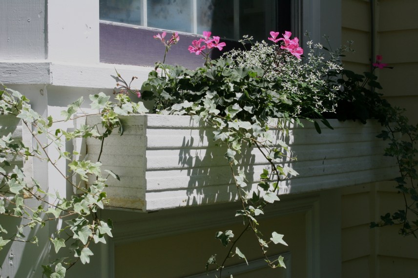 Windowbox charm complements the historic home.