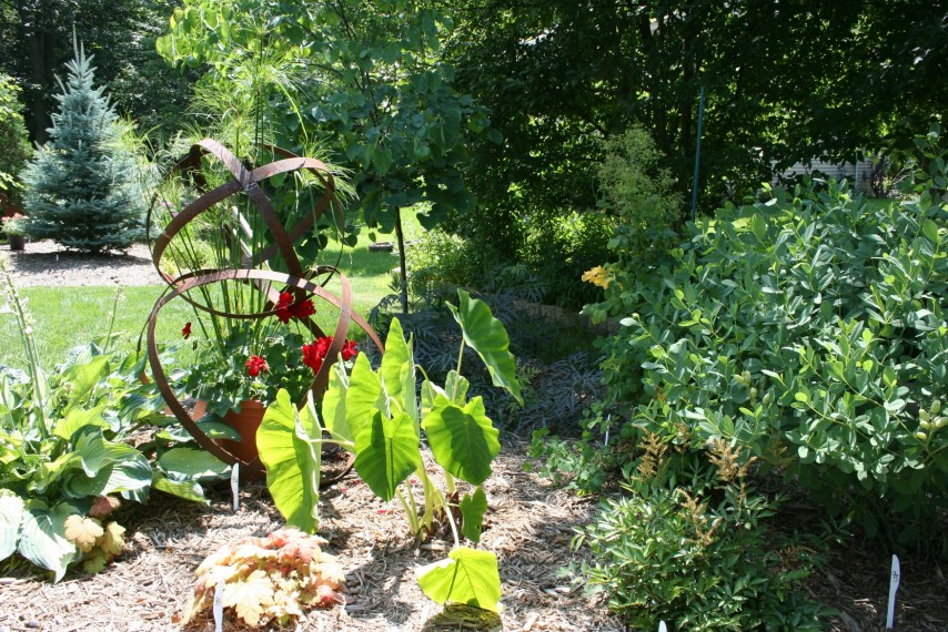 Sculpture art mixed with plant art.