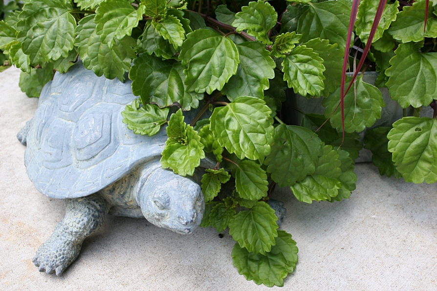 This turtle tucked next to a pot of ivy and other plants belonged to Elizabeth's mother.