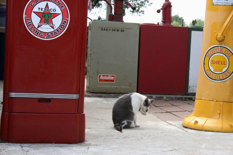 Pausing among the pumps.