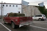 Hay bales in pickup, back and side&nbsp;view
