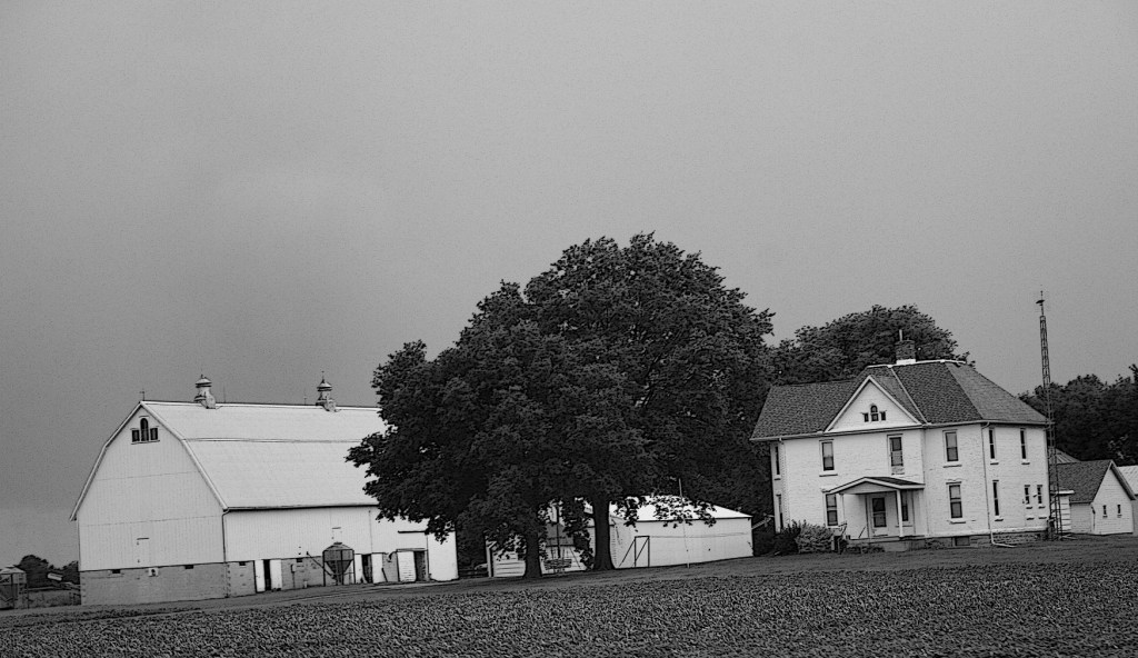 A farm site along U.S. Highway 14 between Nicollet and Mankato.