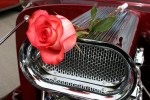 Rose Fest Car Show,&nbsp;rose