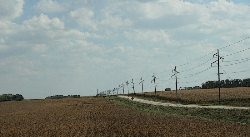 An idyllic rural scene of drying soybeans and gravel road just off Rice County Road 24.