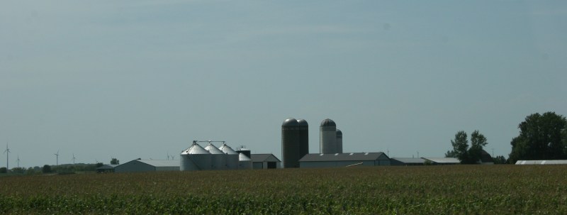 You'll see lots of farms as you drive through Iowa, including this one off Interstate 35 just across the Minnesota border.