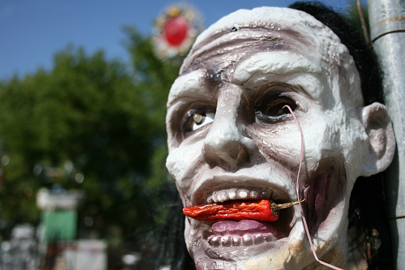 The freaky portrait I captured.