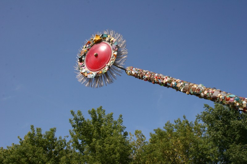 Love this flower arcing above the garden.