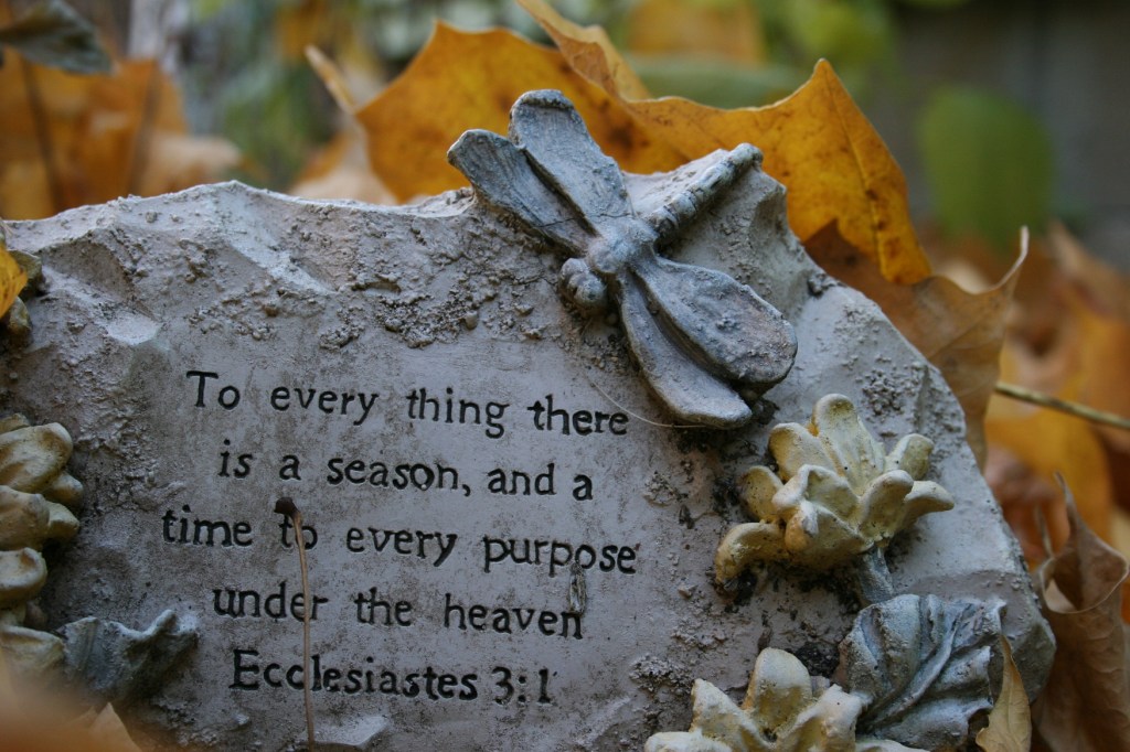 Garden art given to me by my mom several years ago.